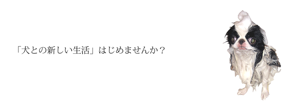 「犬との新しい生活」